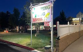 Jumping Frog Motel